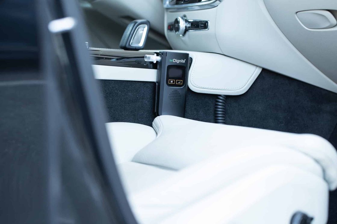 Dignita interlock fitted in a car interior